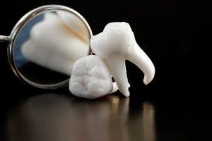 Tooth with Magnifying Glass